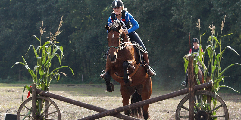 3 tage Multilevel Kurs  Sudheide 2 - Lunerburgerheide , DL