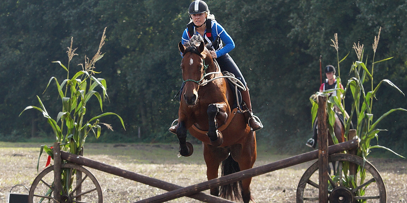 3-day Multilevel Course Sudheide 2- Lunerburgerheide, Germany