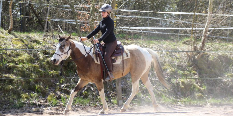 5 tage Multilevel Kurs Kurs Bad Steben 2, Landkreis Hof, Bayern